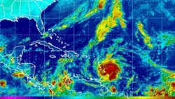 TS Tomas