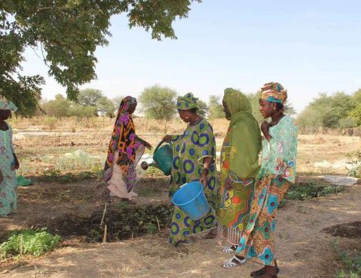 Drought in the Sahel region makes farming and gardening very difficult for the women of Yelimne, Mali. (Photo: WFP/Daouda Guirou)