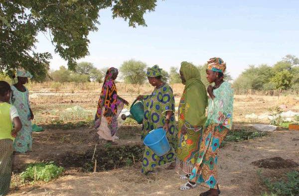 Drought in the Sahel region makes farming and gardening very difficult for the women of Yelimne, Mali. (Photo: WFP/Daouda Guirou)