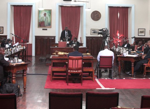 Parliament in session. (IWN file photo)