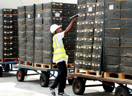A dock worker prepares bananas for export in Kingstown in November 2011. (Photo: Elson Crick/Facebook)