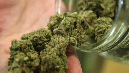 Prime Minister Ralph Gonsalves says his government is not prepared to legalise marijuana for recreational use just yet. (Internet photo)