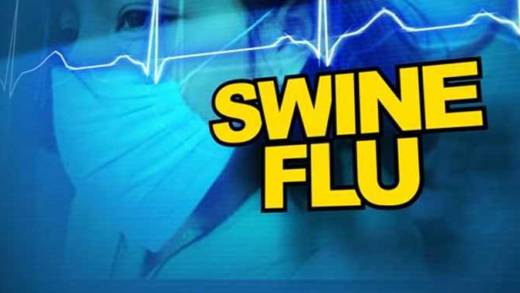 Six cases of swine flu have been confirmed in SVG. (Internet image) 