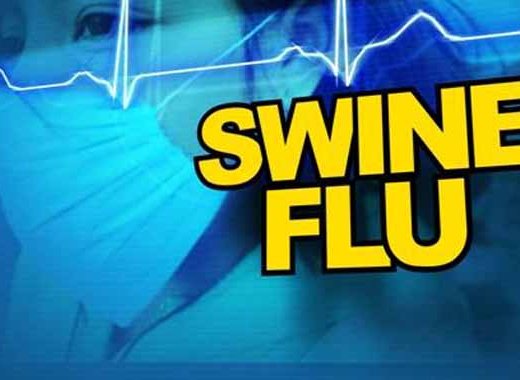 Six cases of swine flu have been confirmed in SVG. (Internet image) 