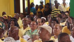 NDP supporters at the party's convention on Sunday. 