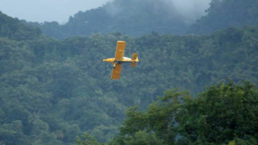 An aircraft sprays banana fields in the Buccament Valley on Dec. 4, 2013. (IWN photo)   