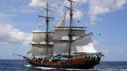 The Brig Unicorn sank while on its way to St. Vincent for repairs. (Internet photo)