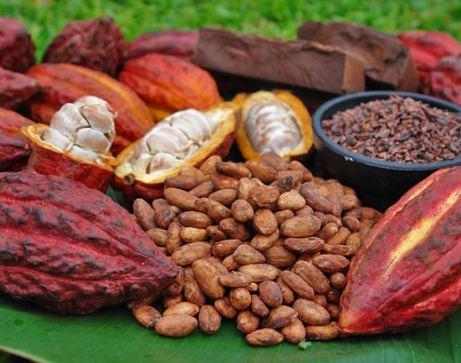 Cocoa