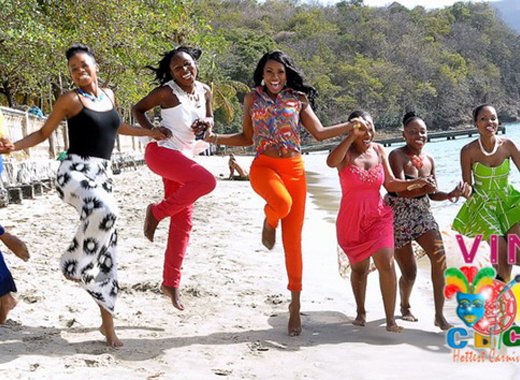 The eight contestants in the Miss SVG 2014 pageant. (CDC photo)