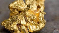 The detectives are charged with dishonestly assisted in the disposal of the stolen gold. (Internet photo)