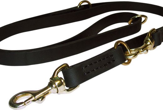 leash