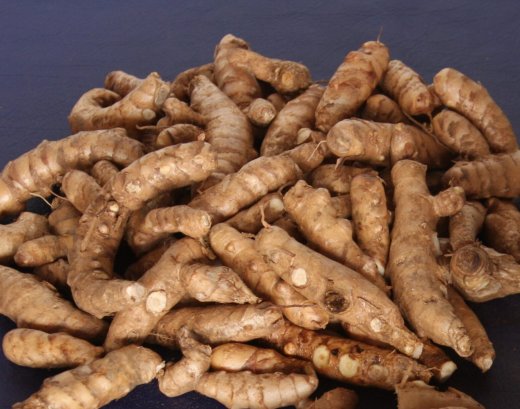 Arrowroot rhizome. (Internet photo) 