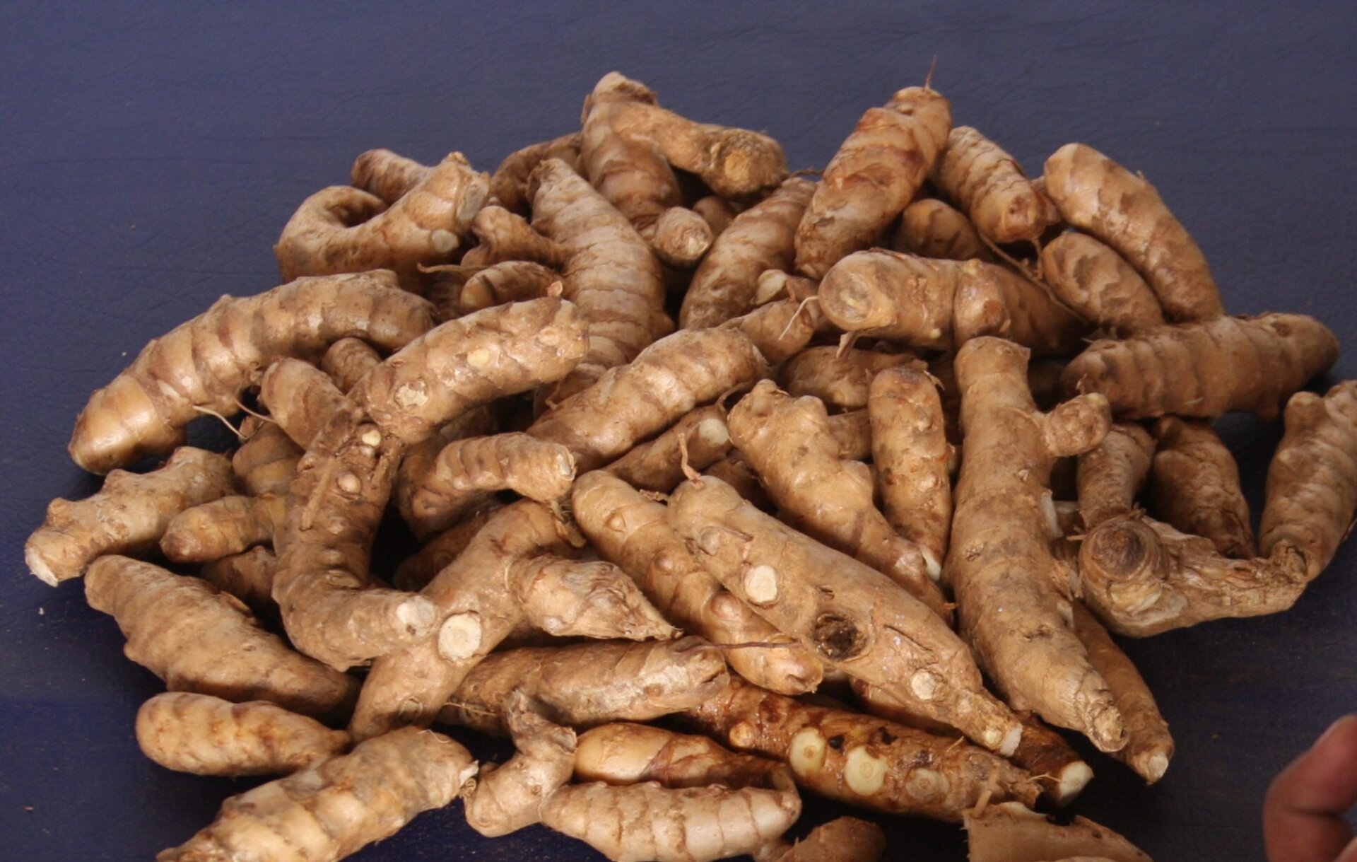 vincentian-arrowroot-starch-at-risk-of-being-dumped-in-the-us