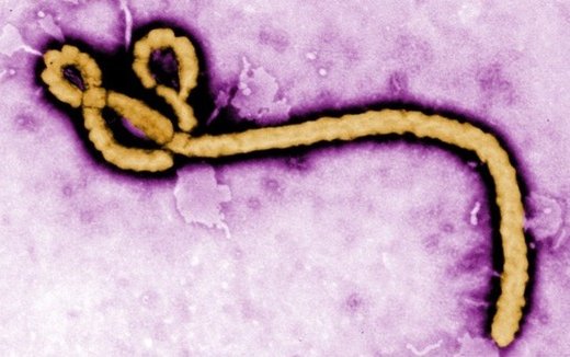 The summit will look at issued related to the Ebola virus. 