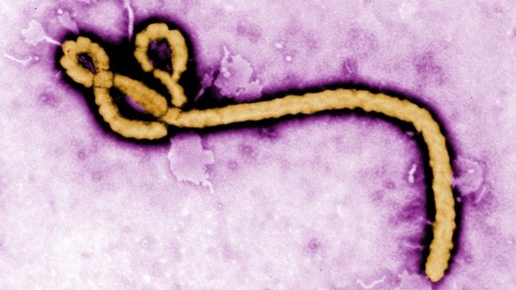 The summit will look at issued related to the Ebola virus. 