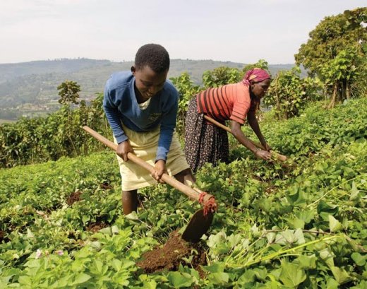 The five-day meeting is being held under the theme Transforming Caribbean Agriculture Through Family Farming".