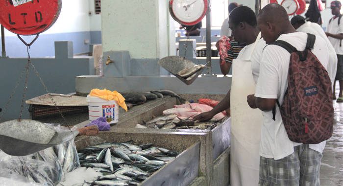 Fish on sale in Kingstown on Tuesday. Eustace wants efforts to reinstate fish exports to Europe. (IWN photo)