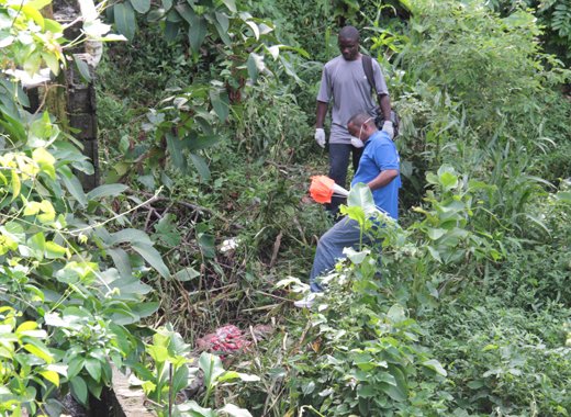 Police conduct investigations near the body of Keon Lawrence in Kingstown Park. on Sunday (IWN photo)