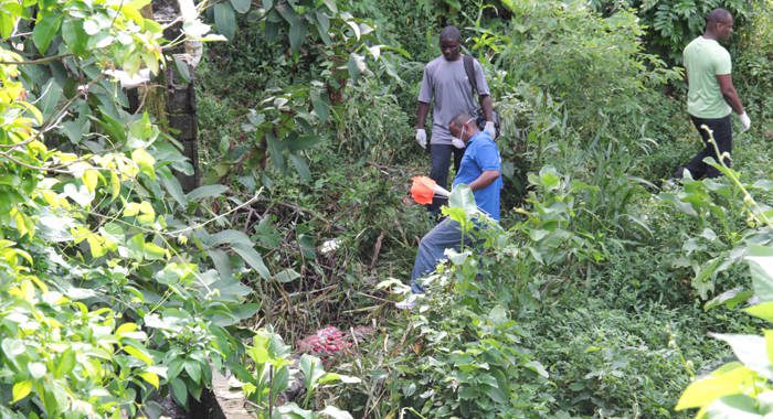 Police conduct investigations near the body of Keon Lawrence in Kingstown Park. on Sunday (IWN photo)