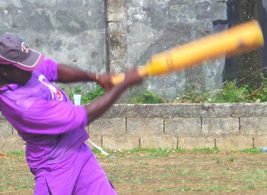 Cricket