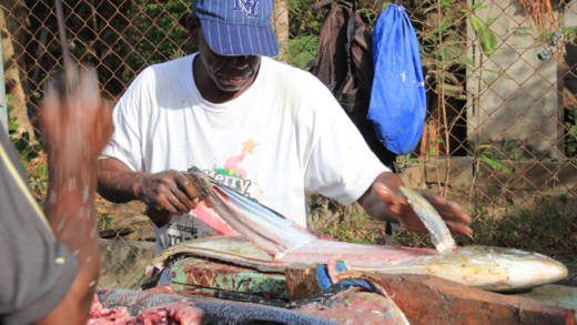 A fisherman processes a fish during the 2014 Fisherman's Day celebrations. (IWN Photo)