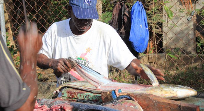 A fisherman processes a fish during the 2014 Fisherman's Day celebrations. (IWN Photo)