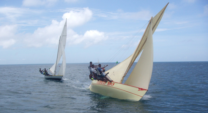 Mayreau regatta