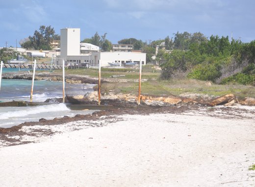 A section of Jabberwock beach, located on the northeastern coast of Antigua, that is being eroded by the sea. Credit: Desmond Brown/IPS.