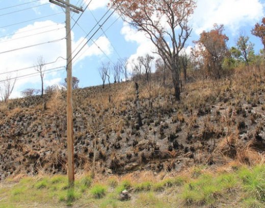 The aftermath of a bushfire in southern St. Vincent. (Credit: Kenton X. Chance/IPS)