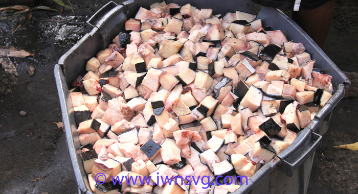 Whale blubber wait further processing into "crisps" and oil in Barrouallie on Sunday. (IWN photo)