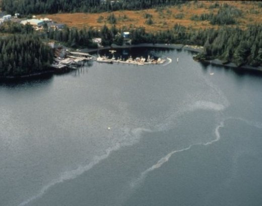 Exxon was responsible for the Exxon Valdez oil spill in 1989. Here, part of the spill in the Chenega Bay, Evans lsland (Prince William Sound). Credit: ARLIS Reference.