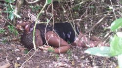Police are yet to identify the body, which was found in Kings Hill Reserve on Wednesday.