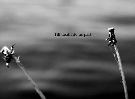 til death