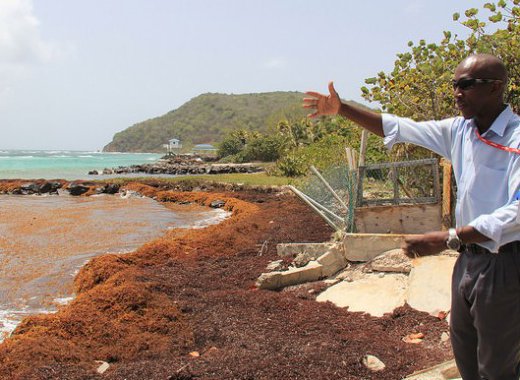 Allan Providence, senior officer at Union Island Airport, says he has seen the sea rise significantly over the past 22 years. (Credit: Kenton X. Chance/IPS)