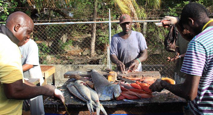 Fishers process fish during Fisherman's Day celebrations in St. Vincent in 2014. (IWN photo)