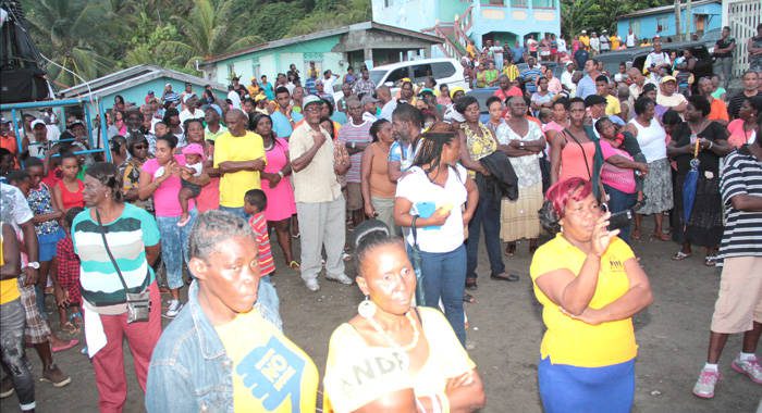 A section of the crowd at the rally on Sunday. (IWN photo)