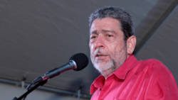 Prime Minister Ralph Gonsalves addressing the ULP rally in Chateaubelair on Sunday. (IWN photo)