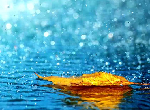rain
