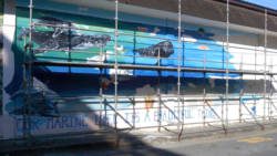 A mural celebrating marine life is installed in Saint Vincent.