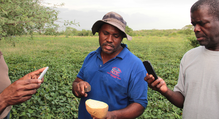 Ebony Park Agro-Park manager, Anthony Trout discusses potato cultivation with learning journey participants. (IWN photo)