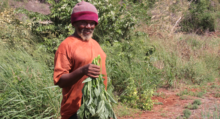 Farmer Alvin Findlay praises the operation of the agro-park. (IWN photo)