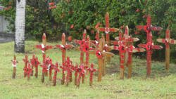 Crosses at the Cenotaph on Remembrance Day, last Sunday. (Police photo)