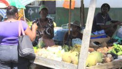 Vendors sell agricultural produce in Kingstown. Both the ULP and NDP have pledged to focus on the public sector if elected to government. (IWN photo)