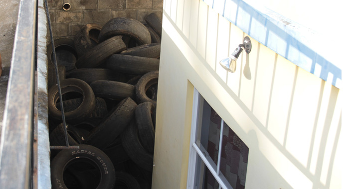 The tyres have become a breeding ground for mosquitos. (IWN photo)