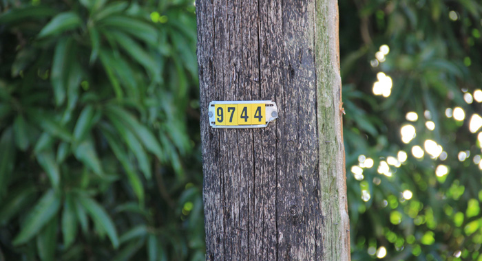 The number of the pole with the broken streetlight. (IWN photo)