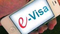 e visa