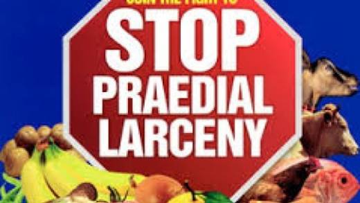 Praedial larcenyt