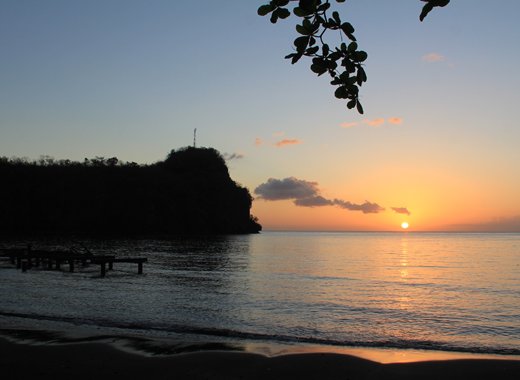 Faylene King, chief operations officer for the SVG Tourism Authority, said the 0.8 per cent increase in 2015 overall visitors from the years before caused tourism officials to be  extremely excited about the spike in visitor arrivals. (IWN photo)