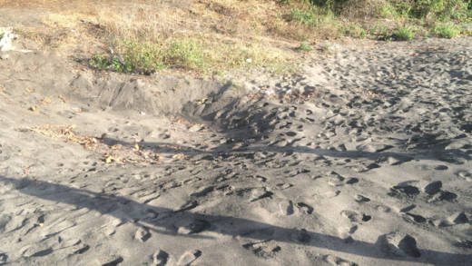 The government is looking to ban the mining of sand on beaches in SVG. (iWN file photo)