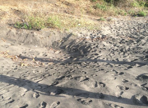 The government is looking to ban the mining of sand on beaches in SVG. (iWN file photo)
